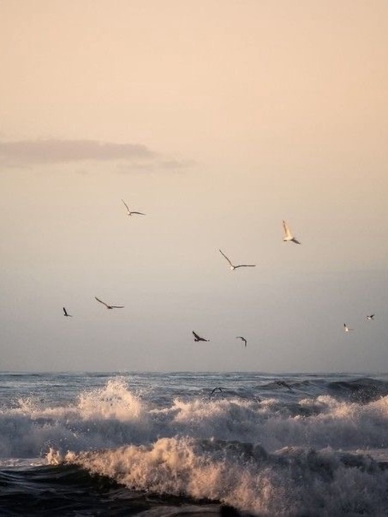 Daks - Picture 8 of 8